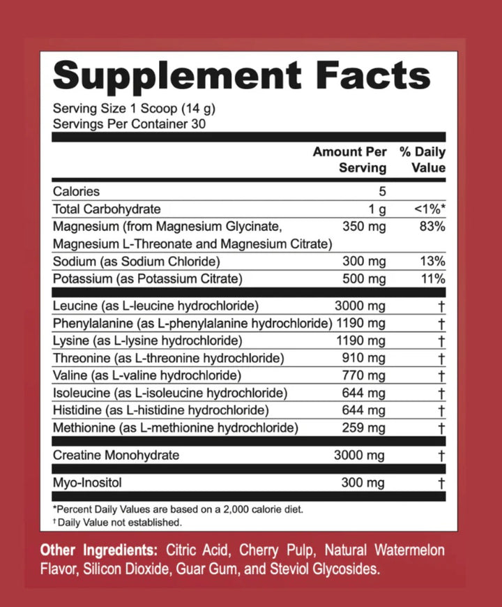 V-Performance+: Amino Acid Complex, Creatine & Electrolytes